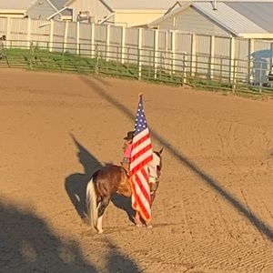 Meet your Posher, Rhett